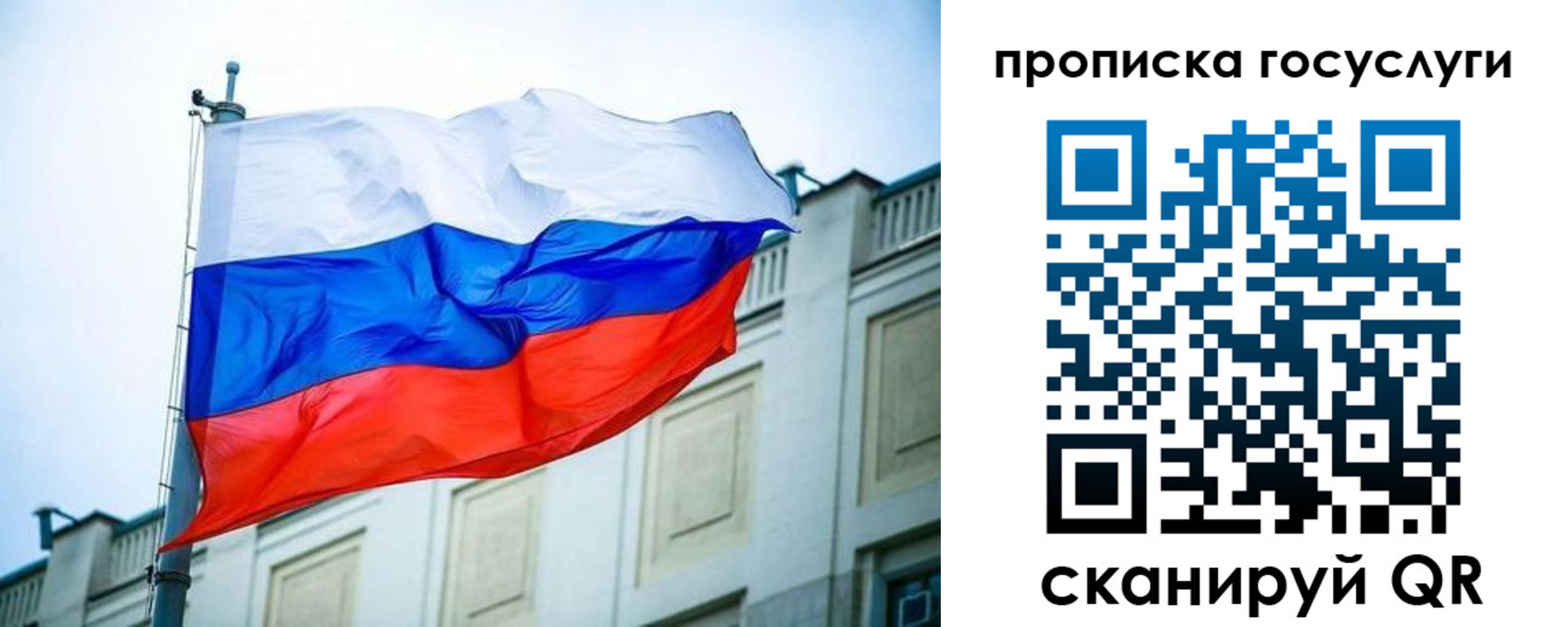 временная регистрация для всех в Мурманской области